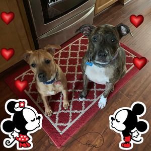 Meet your Posher, Kris